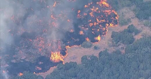 Ross Fire explodes to over 50,000 acres in North Texas, forcing evacuations and school closures