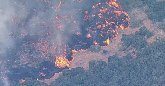 Ross Fire explodes to over 50,000 acres in North Texas, forcing evacuations and school closures