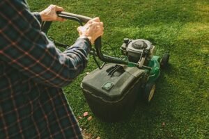 Grass will grow thicker by spring if gardeners do 1 task in September