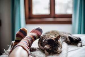 Cats sleep on owners' beds for reason that many people don't realise – not comfort