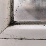 Use 1 free method to prevent mould in your home – not chemicals or sprays
