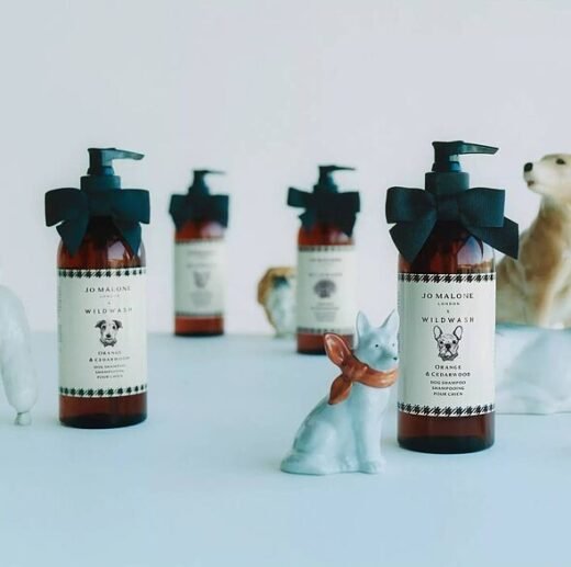 Jo Malone restocks sell-out £18 dog shampoo – here's how to get it for £7
