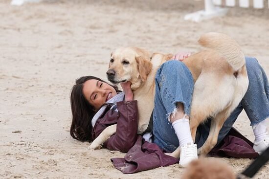 Top 20 ways British dog owners pamper their pets – as owners spend £101 a month