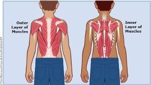 Back Strain | Texas Children’s