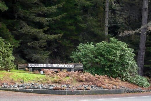 College of Redwoods Passes on All 3 Presidential Finalists
