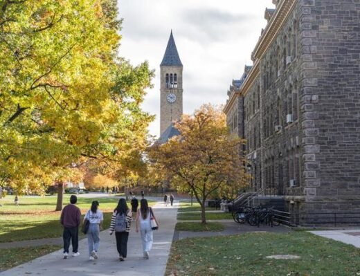 Cornell Report Gets Purpose of University Right (opinion)