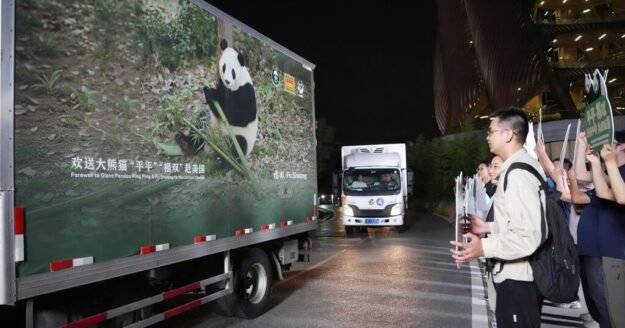 New giant pandas from China arrive in Atlanta zoo