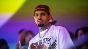 Judge Poised to Cut $12.9 Million Jury Award in Chris Brown Dog Attack