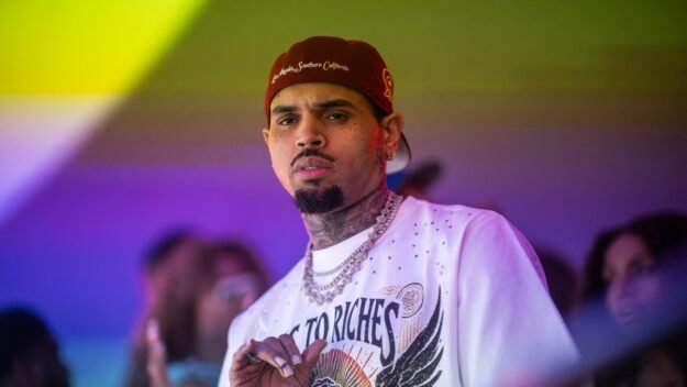 Judge Poised to Cut $12.9 Million Jury Award in Chris Brown Dog Attack
