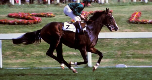 Gunmen came for Shergar. Decades later, the kidnapping of the prized Irish racehorse remains unsolved.