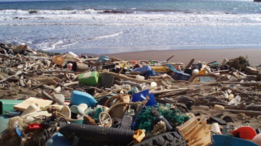 Ocean pollution and marine debris