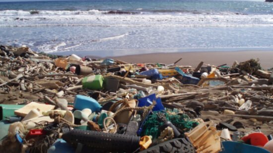 Ocean pollution and marine debris