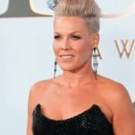 Pink Responds to Backlash After Sharing Post on Macklemore Speech