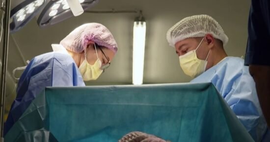 A fight to have more babies