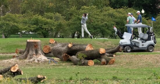 Judge blocks Trump administration from cutting down trees at D.C. golf course for 2 weeks