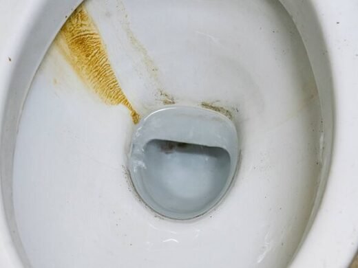 Brown water stains on your loo will vanish for good using 2 methods – no bleach needed
