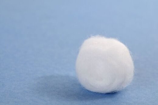 Households urged to put cotton wool on windowsills in October