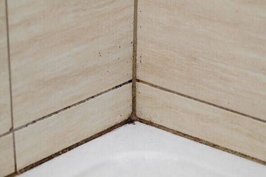 Mould can be removed from shower grout with 'no scrub' toilet paper method