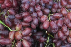Shop-bought grapes will be 'crisp and crunchy' if you look for 1 detail on pack