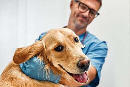 'I'm a vet – one beloved family pet is the most mentally unstable'