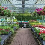 Beloved UK garden centre closes permanently after 40 years due to financial pressures