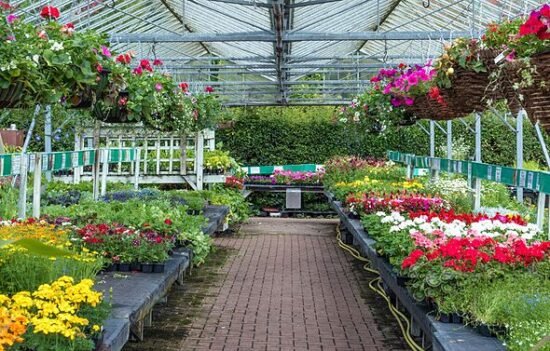 Beloved UK garden centre closes permanently after 40 years due to financial pressures