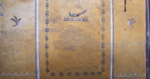 Ancient cosmetics, coins, mouse skeletons found in Pompeii home shed light on life before deadly eruption