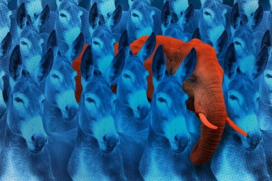 Does Viewpoint Diversity Require More Conservative Faculty?