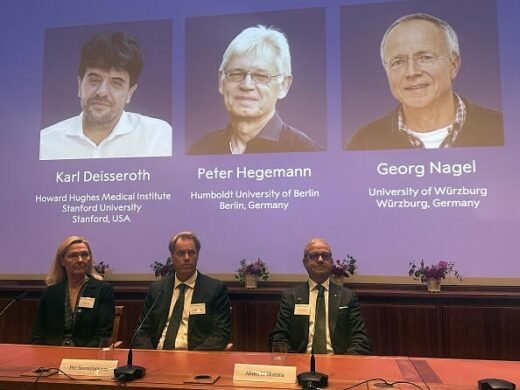 Stanford Scientist Wins Nobel Prize in Physiology, Medicine