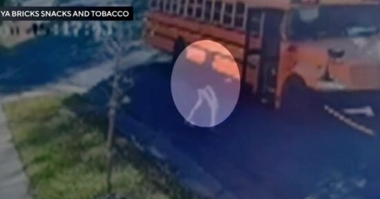 How "Grey's Anatomy" helped a quick-thinking hero halt a runaway school bus