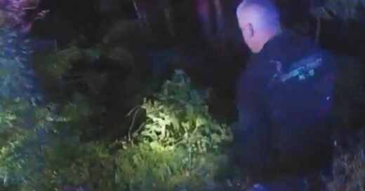 Inside the hourslong search for missing boy in Maryland: "I got him!"
