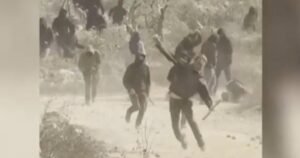 Israeli settlers attack American journalist and Palestinians during olive harvest in West Bank