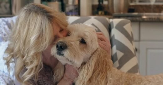 Lost pet recovery specialist reunites 66-year-old widow with her dogs after car accident