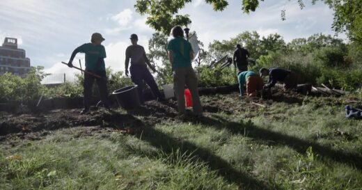How this New York City community cleanup project is helping adults make new friends