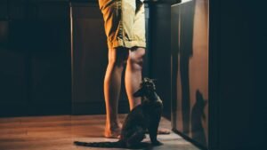 Keep weight off after dieting
