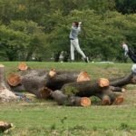 Judge chastises Justice Department lawyers after hundreds of trees cut down at D.C. golf course