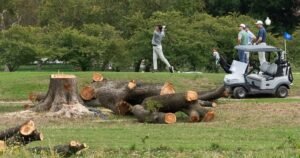 Judge chastises Justice Department lawyers after hundreds of trees cut down at D.C. golf course