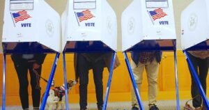 Why is voting important? Beyond the basics of what makes your midterm election vote matters so much