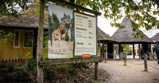 Zookeeper dies after she was attacked in leopard enclosure, Dutch safari park says