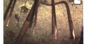 Evidence in the Amy Mullis corn rake murder case