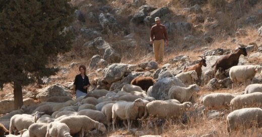 The Israeli settlers behind West Bank conflict with Palestinians  | 60 Minutes