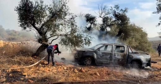 Israeli settlers burn olive trees, injure journalist in West Bank attack